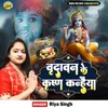 About Vrindavan Ke Krishna Kanhaiya Song